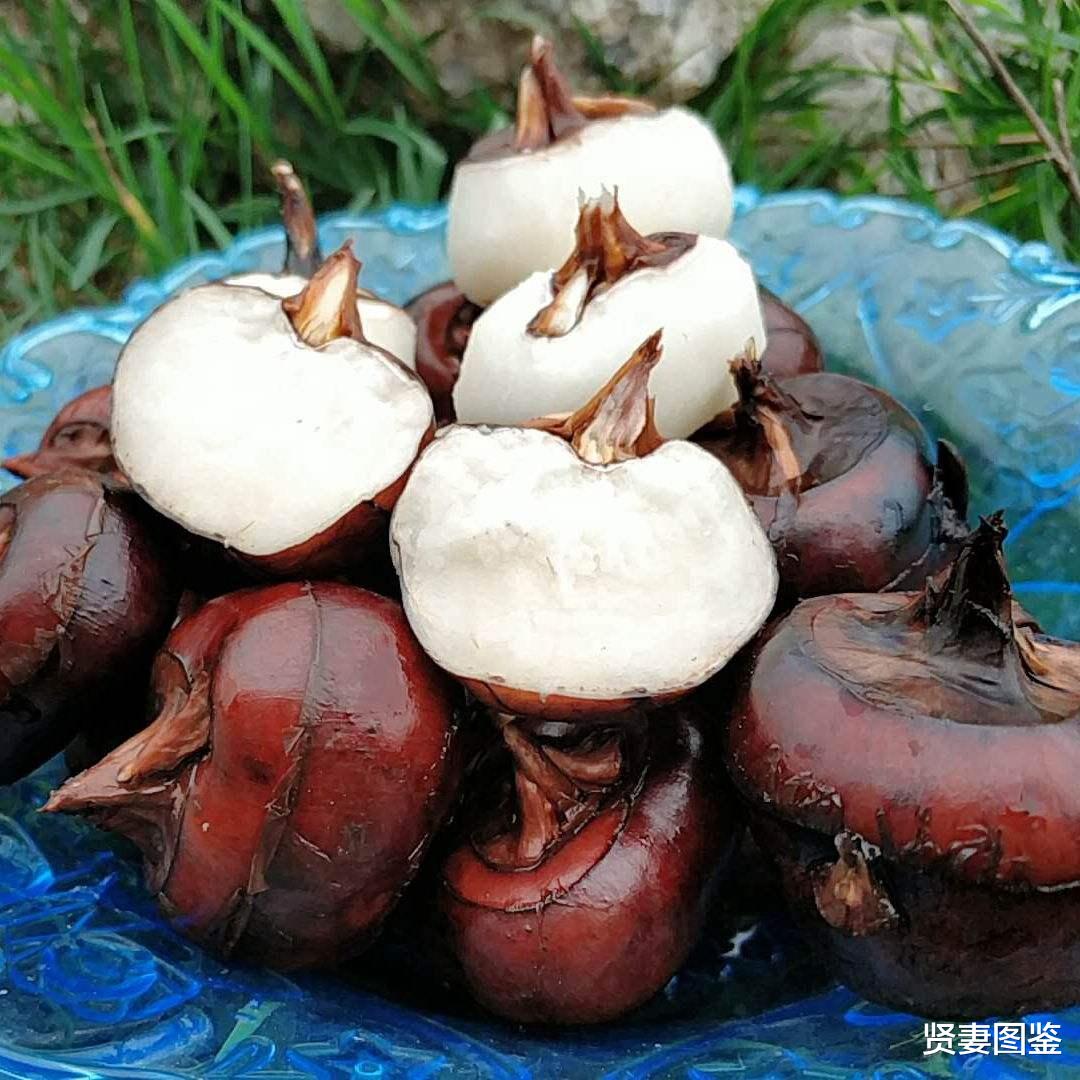 荸荠|冬天最该吃的是它,一化痰、二通便、三降血压,营养滋补又美味