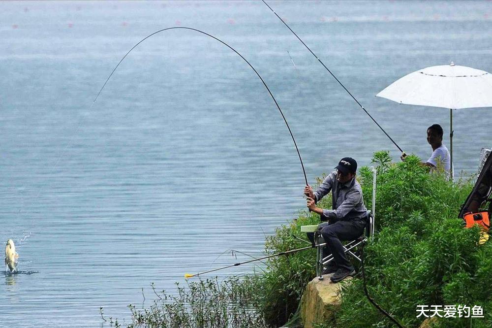 经典|夏季钓鱼，3种深水钓位大鱼扎堆，上鱼效率提升10倍