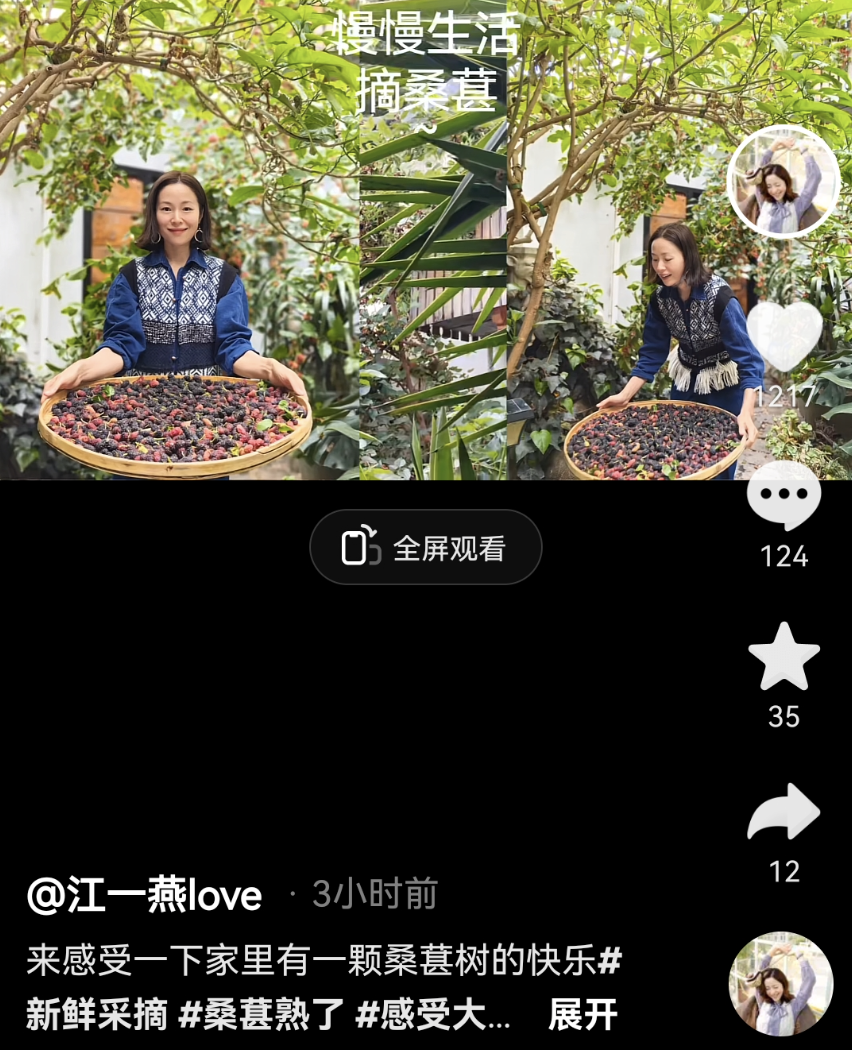 江一燕|江一燕定居农村，携婆婆女儿在院子摘桑葚，住双层瓦片房超接地气