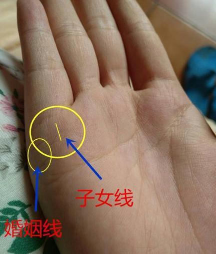 手相子女线解析 - 星座资讯(主打网)