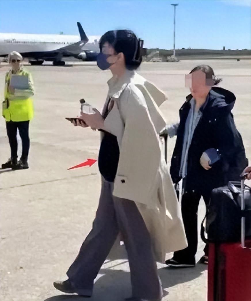 54岁王菲成功怀上三胎引热议，谢霆锋再当爸？网友：真相真的超乎想象