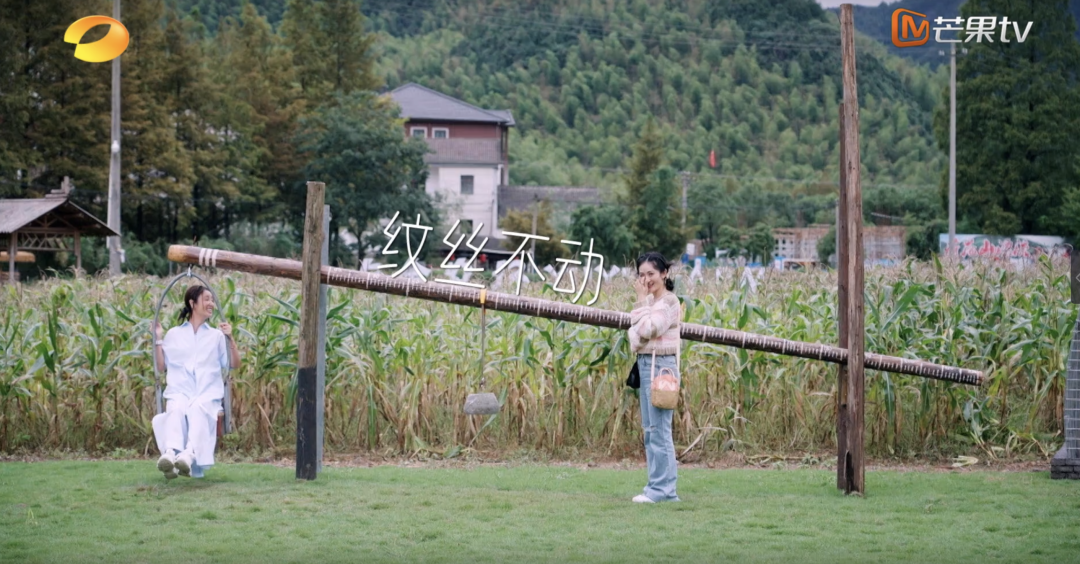 林心如仅92斤，谢娜一坐秋千就「尴尬」！苏有朋上演回忆杀