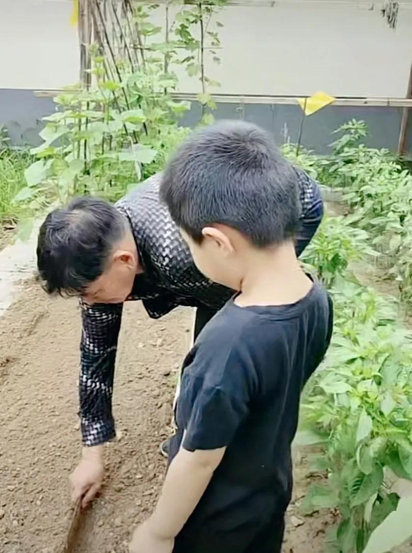 7月6日大衣哥女儿朱雪梅来菜园了,网红们难得拍到了姑娘芳容