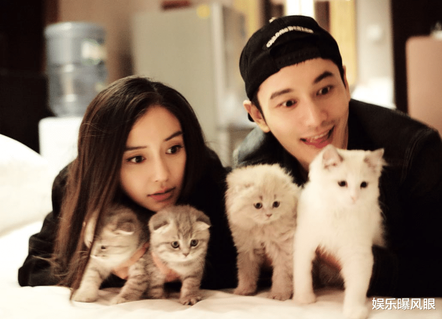 baby首晒母子合照!小海绵头发及肩,给爱犬起名“阿黄”引热议