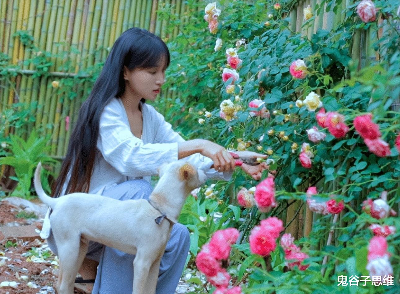 消失600多天，李子柒“回归”登顶热搜！网友：这才是该追的网红