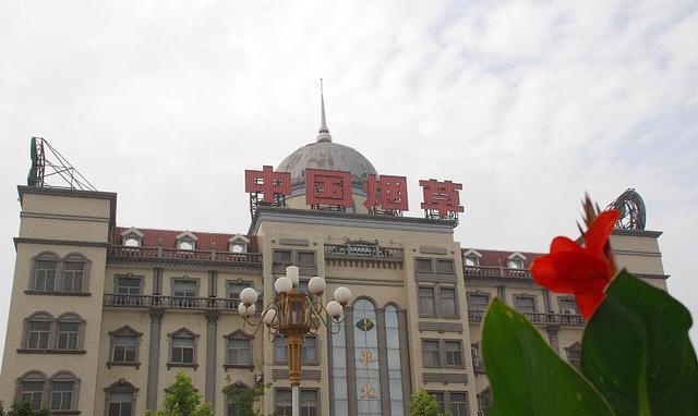 国企|家里三代“烟草人”，主打奉献精神，反在网友的评论中“翻车”