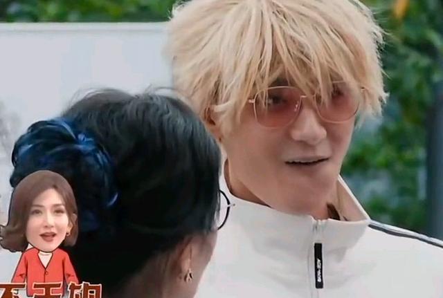 毛晓彤|萌探：黄子韬毛晓彤勇闯相亲角，黄子韬被嫌弃，毛晓彤被追捧