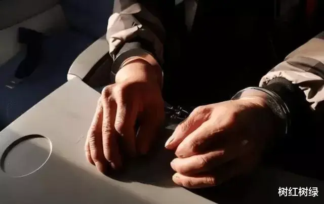 |高官“情妇”卢嘉丽，开模特公司收买官员，携百亿资产畏罪潜逃