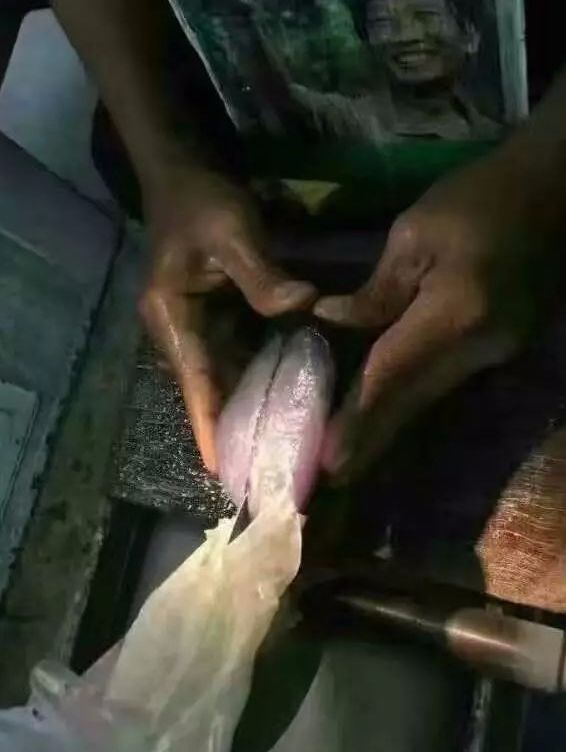 随便买的原石，却开出的紫罗兰，成品如何？