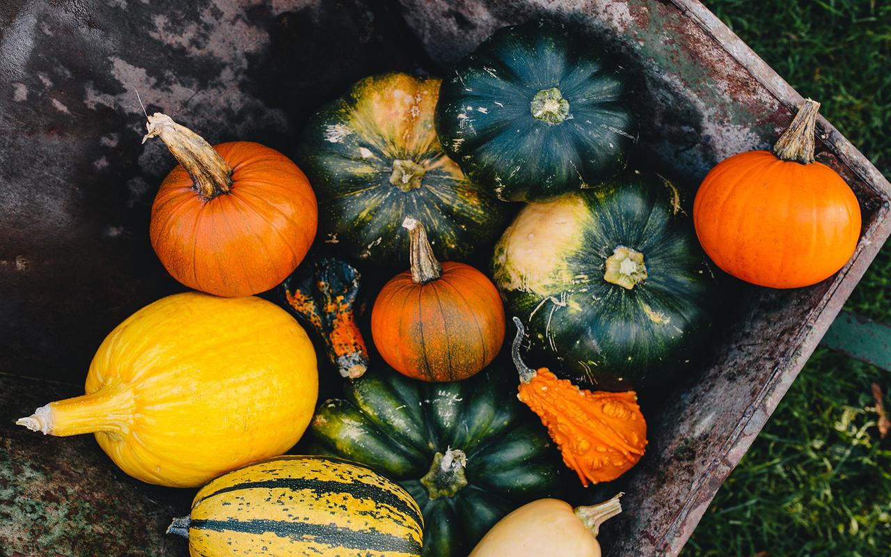 營養(yǎng)膳食|越吃越年輕的5種食材，一周吃三次，皮膚好氣色佳，精神足顯年輕