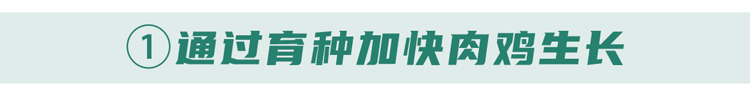我国癌症高发,都是鸡肉惹的祸?提醒:真正致癌的或是这种“鸡”