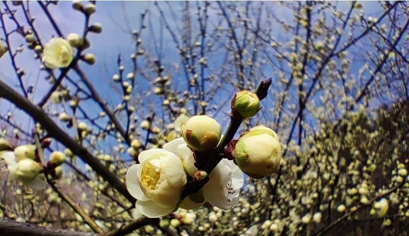 |最近的十点感受,你可能也遇到过