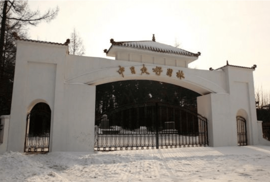 黑龙江方正县有点恶心了! - 电影资讯(主打网)