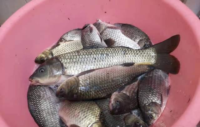 夜钓|早春经典钓位之:二道坎,一直都有鱼主要看怎么选