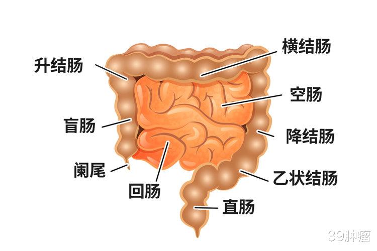 体内有癌，吃饭先知？提醒：吃饭出现这4种异常，警惕是身体警报