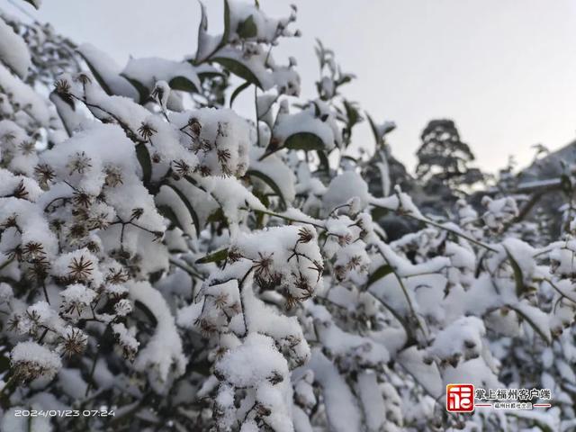 |刷屏！福州人在市区能看到雪山！ 网友：雪景房