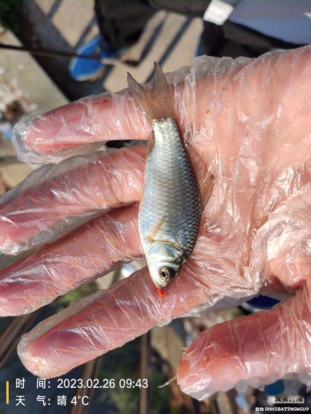 空军|虽未空军,但比空军郁闷,爱护资源,人人有责!