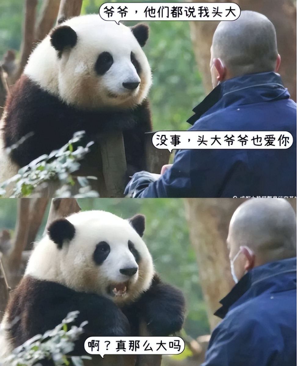 饲养员|龙年春晚有四位明星备受期待，越剧演员、列车员和饲养员