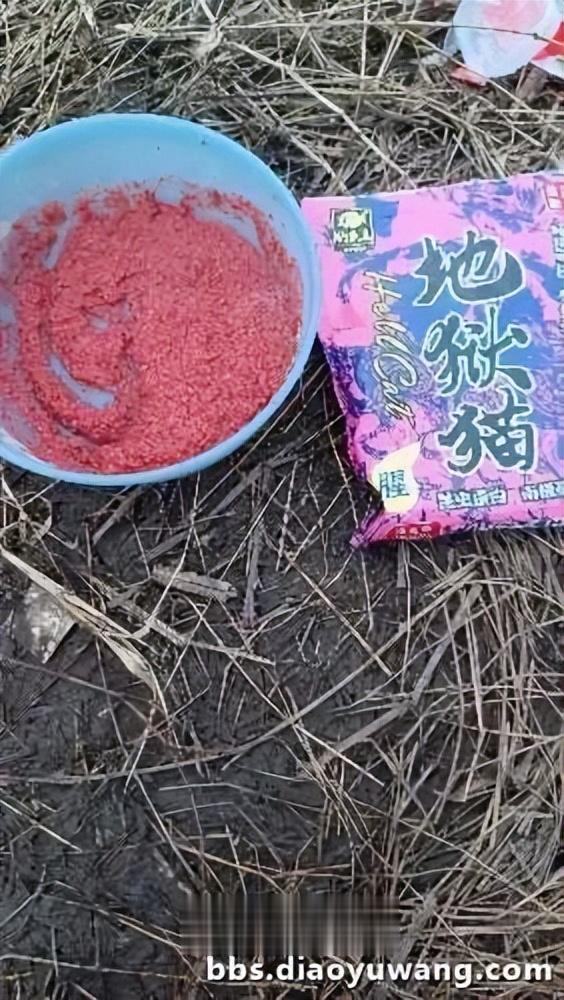2024新年首钓用地狱猫有鱼吃