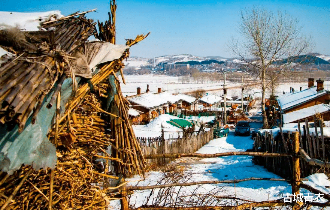 |明天冬至!“冬至在头,冻死老牛”,今冬是“60年一遇”的冷冬?