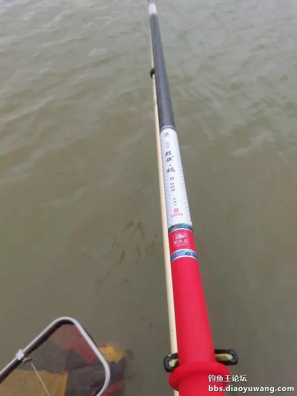 魁拔|再试魁拔极，意外擒鳜鱼