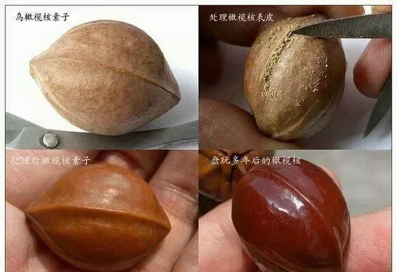 邮票|橄榄核铁核的终极包浆,美到不敢看