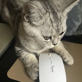 迎蕾姐姐