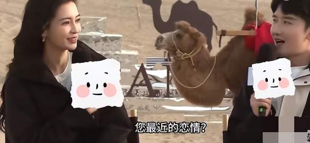 Angelababy否认恋情绯闻,承认自己目前仍是单身,专心致志搞事业