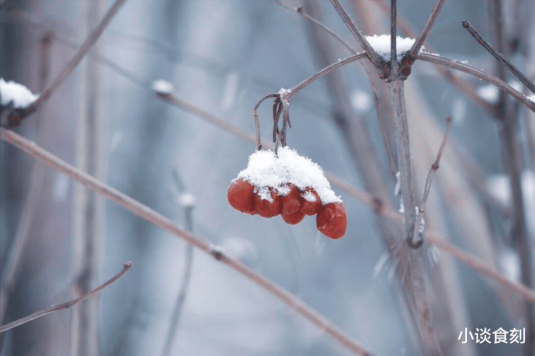 |明日十一月初一,老人说“雨打冬月头,来年起坟头”,是啥意思?