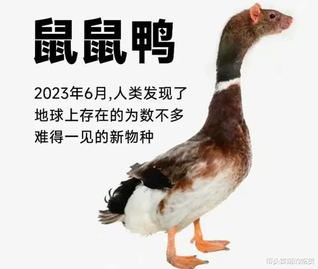 |美食大佬成功复刻名菜“鼠头”鸭脖，反被网友怒斥，究竟怎么回事