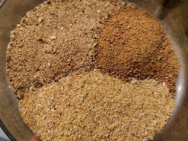 饵料|天气闷热鱼不开口？换饵料实属下策，取胜关键就是这两件事