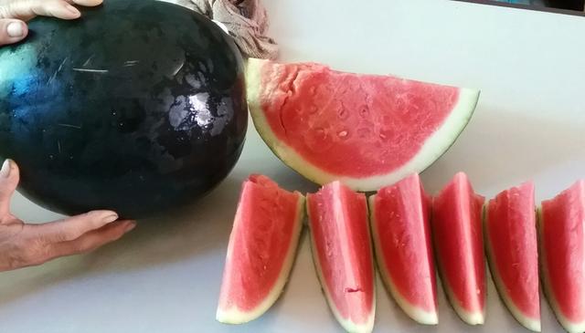 |30年前风靡一时的水果,1个轻松长到30斤,为何如今销声匿迹?