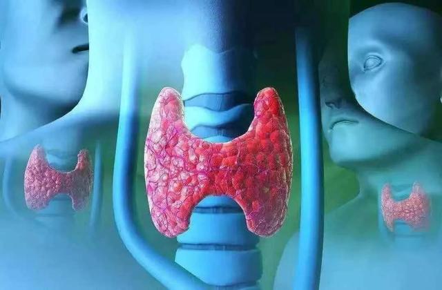 胆固醇|多名院士呼吁:停止食用“1玉米”,或比烟酒还伤甲状腺,赶紧扔