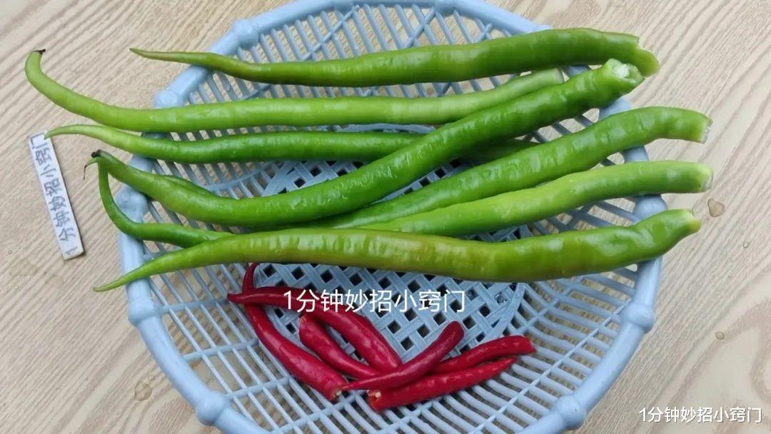 辣椒|辣椒原来可以这样保存,放上一年也不会坏,可惜好多人都不知道