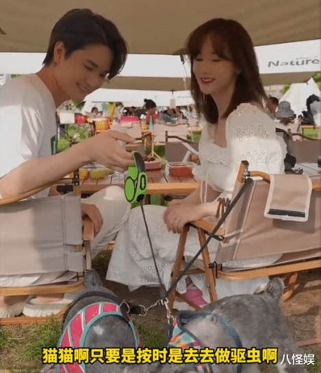 张檬晒病历，被诊断为不孕很崩溃，否认多次备孕失败与养宠物有关