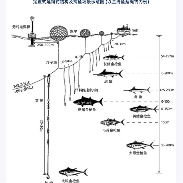 为何钓了8千多斤鱼,被钓鱼人举报后,判刑还被罚款40余万?