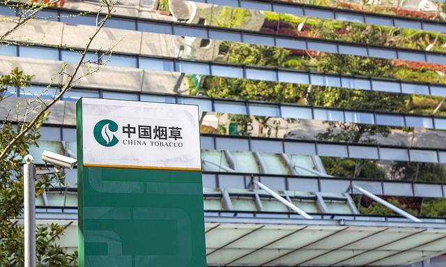 上海市|上海烟草招新,大量专科生跟研究生共事,被怀疑大城市也走人情