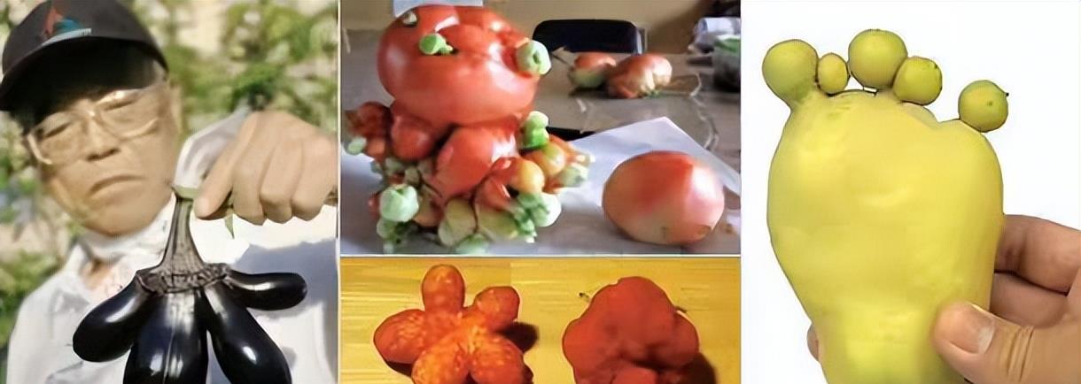 知名演员何家劲深夜发文：“人神共愤！自有天收！”评论区沦陷