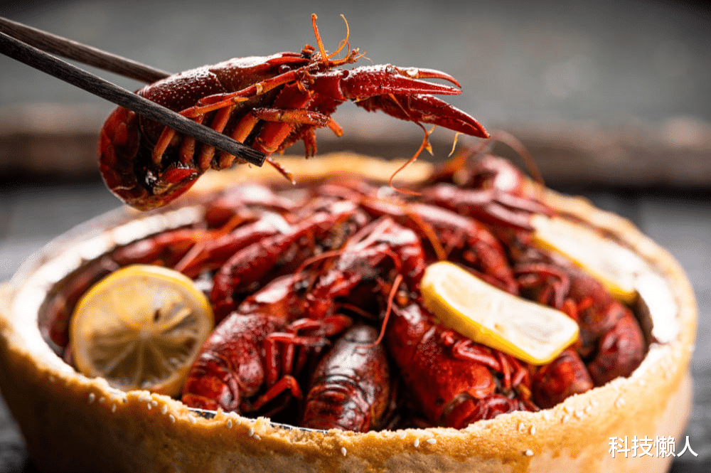 食材|从今年6月1日起，卖小龙虾最高判3年，“文明”的外国人不吃小龙虾？