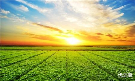 招聘|想进号称铁饭碗的“中国烟草”,这几个专业可以考虑