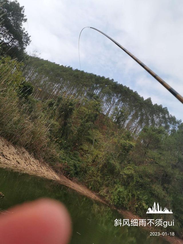 |意外中的意外,耐心作钓终爆护!