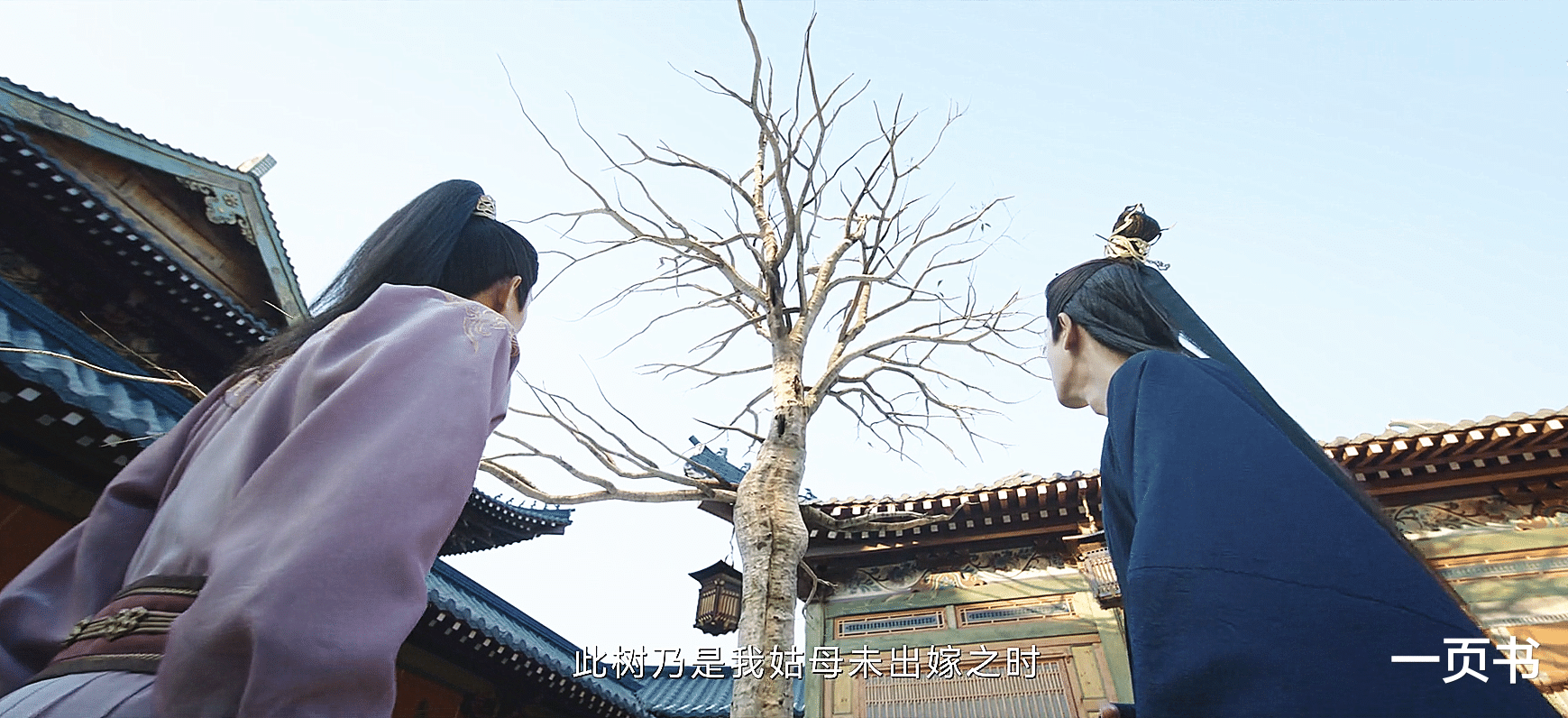 《宁安如梦》燕临父亲真私通平南王？谢危身世揭开，原名叫萧定非