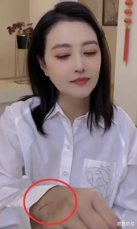 周海媚让人同情的原因:丁克没人养老,老年没伴,房子大没人气