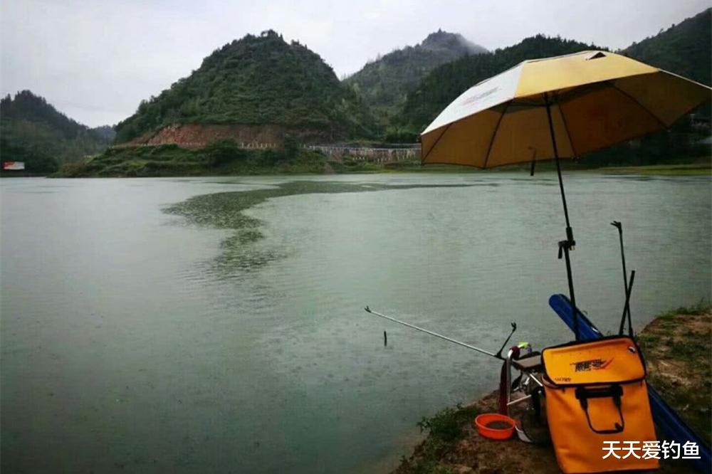 暴雨|夏季钓鱼，3种天气大鱼在浅水，钓深不如钓边