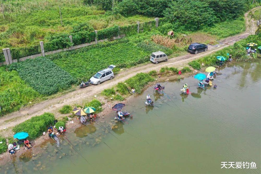 |夏季野钓,找4种万能钓位,白天晚上都上大鱼