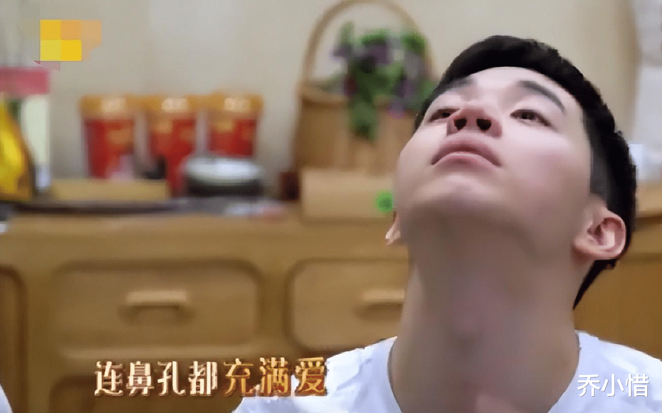 刘宪华|《向往7》刘宪华回归，让观众重温到了之前的快乐