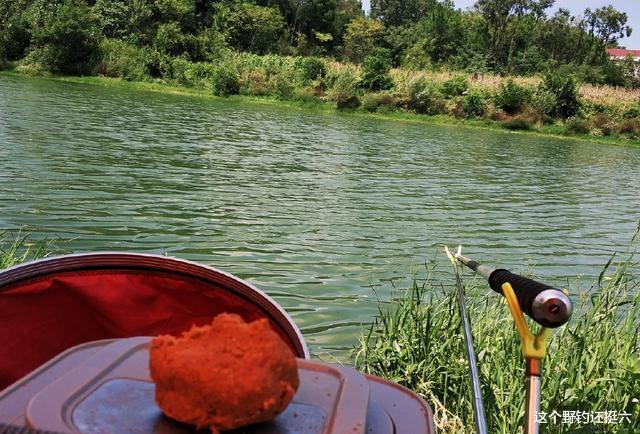 鲫鱼|“浅水没鱼,深水没口”夏季钓鲫鱼如何找对水深?合理钓浅鱼获多