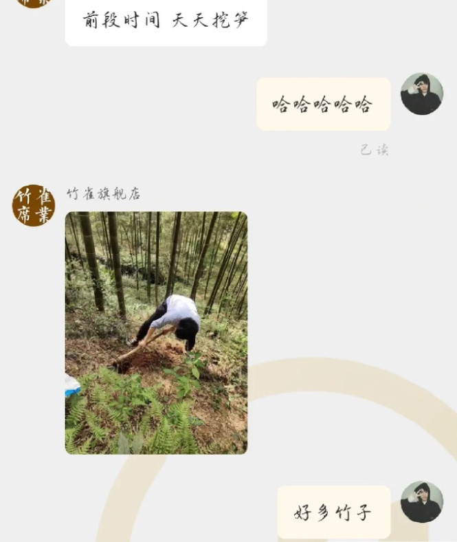 大学生|大学生上网买凉席，和卖家对话秒变招聘现场，网友：笑发财了呀