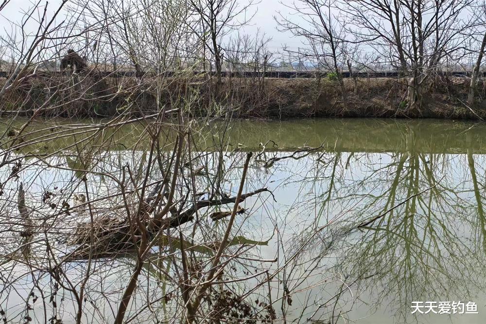 冬季野钓鲫鱼，4种位置是天然鱼窝，找到一准连竿