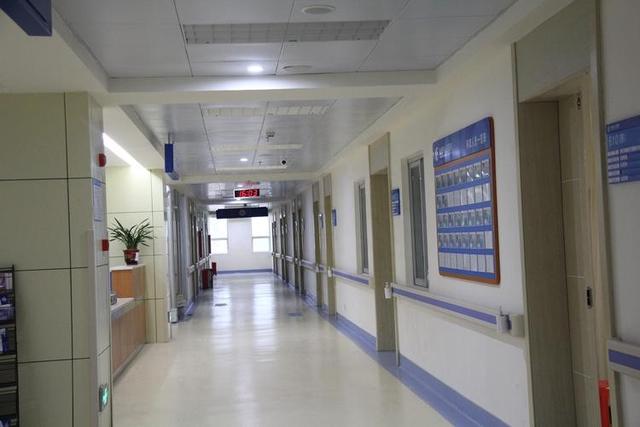 非诚勿扰|12年《非诚勿扰》,官晶晶朱峰牵手成功,时隔11年孩子都能打酱油